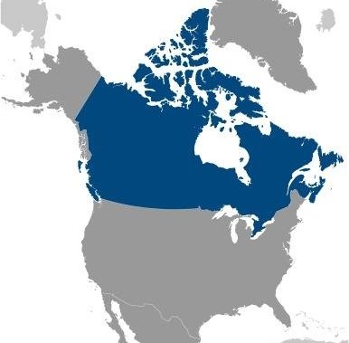UK Spouse Visa Canadian and British