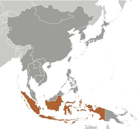 UK Spouse Visa Indonesian and British