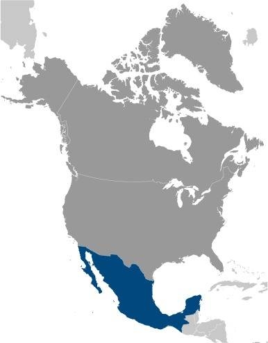 UK Spouse Visa Mexican and British Mexico City , Ecatepec , Guadalajara , Puebla , Juarez , Tijuana , León , Zapopan , Monterrey , Nezahualcóyotl